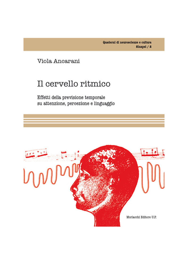 Il cervello ritmico