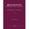 Beethoven commenti critici