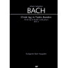 Christ lag in Todes Banden BWV 4