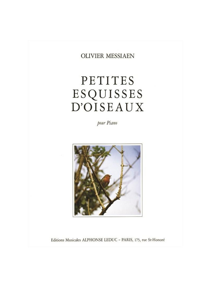 Petites esquisses d'oiseaux