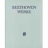 Werke für Violine und Orchester