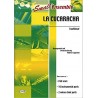 La Cucaracha (flex ensemble)