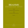 BRAHMS#TRIO