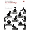 Caro collega