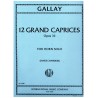 12 Grand Caprices