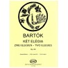 BartokKet Elegia - two elegias