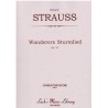 Wanderers Sturmlied, Op. 14