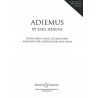 Adiemus (1994)