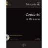 Concerto In Mi Minore