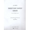 Sheep may safely graze