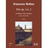 Trio Op. 4 N. 2 per Flauto, Viola e Chit