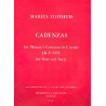 Cadenzas for Mozart's Concerto KV299