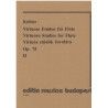 Virtuose Etüden fur Flote op. 75 vol 2