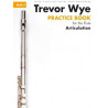 Practice Book For The Flute Book 3