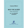 Due vocalizzi